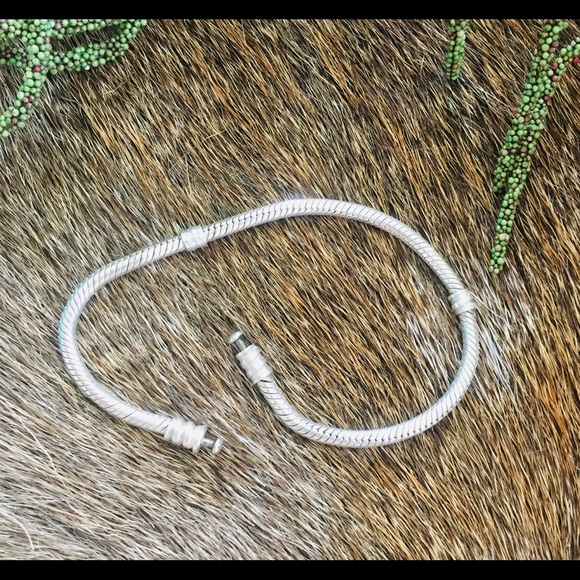 PANDORA Jewelry Moments Bracelet Snake Charm Chain - Picture 2 of 4